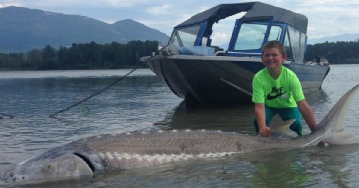 Nine-year-old catches 270-kilo fish on hook