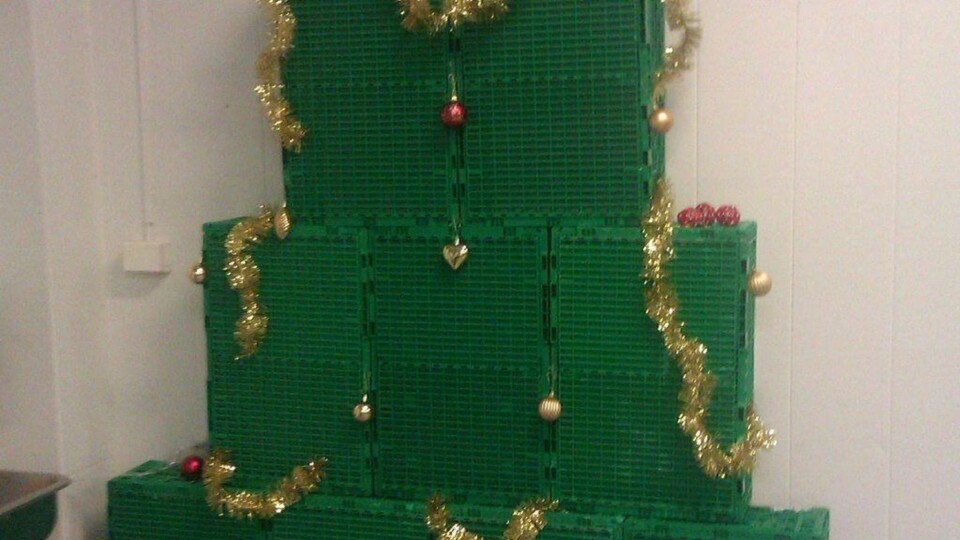 Her er dagens juletre!