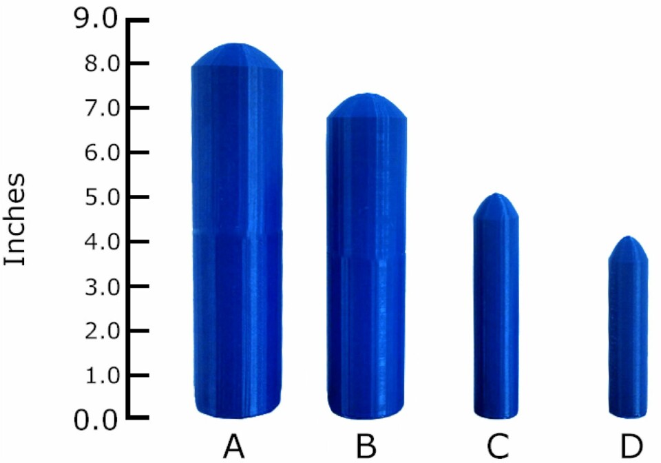 I langtidsforhold foretrakk kvinnene en erigert penis som var 16 cm lang og 12,2 cm i omkrets, bare litt større enn normalen.
