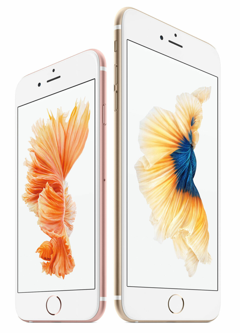 iPhone 6S til Norge 9. oktober 2015