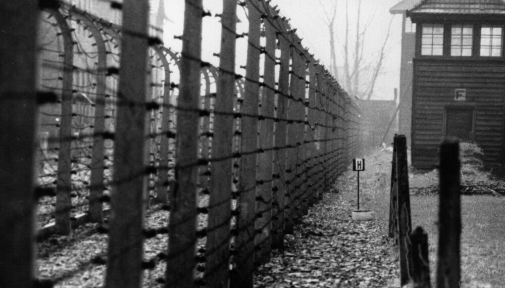 STRAFF: Å forsøke å rømme fra Auschwitz ble straffet på de mest grusomme vis.