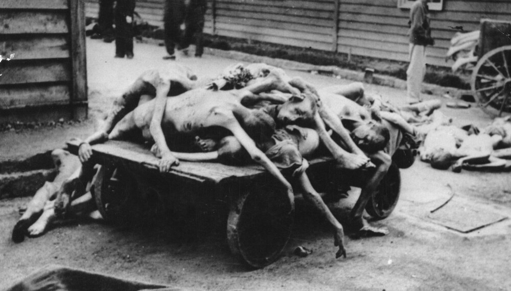 Drepte fanger i Auschwitz. Bildet er tatt rundt 1943.