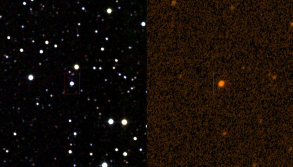 Stjernen KIC 8462852 fotografert i infrarødt og ultrafiolett.