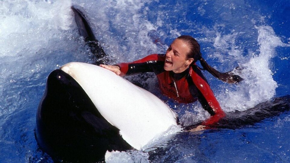 TRENER: Dawn Brancheau ble drept av Tilikum i 2010.