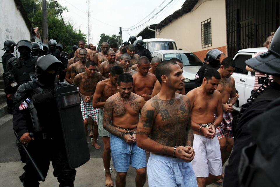 FARLIGE: En gruppe Mara Salvatrucha-medlemmer føres bort av politiet i El Salvador. Gjengkriminalitet er et stort problem i landet og ført til drapsstatistikk man hadde under borgerkrigen på 1980-tallet.
