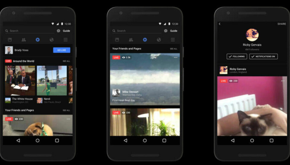 Slik ser Facebooks nye videoseksjon ut på en smarttelefon.
