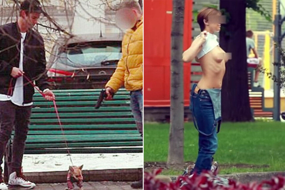 Mot til dels store summer penger overtaler rikmannssønnen Grigory Mamurin folk til å gjøre det meste - som å skyte ekskjærestens hund eller strippe på gata.