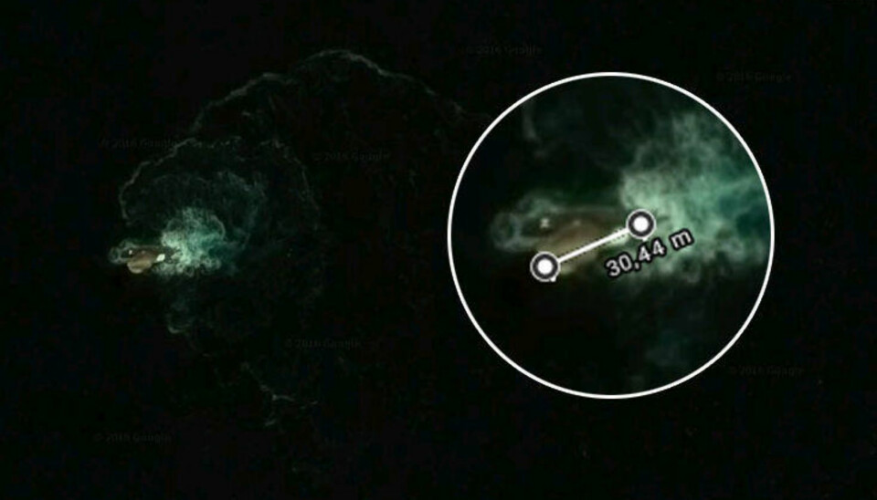 Måleverktøyet til Google viser at den synlig delen av sjødyret er rundt 30 meter lang. Blåhvalen, det største dyret som lever på jorden, kan bli inntil 34 meter lang.