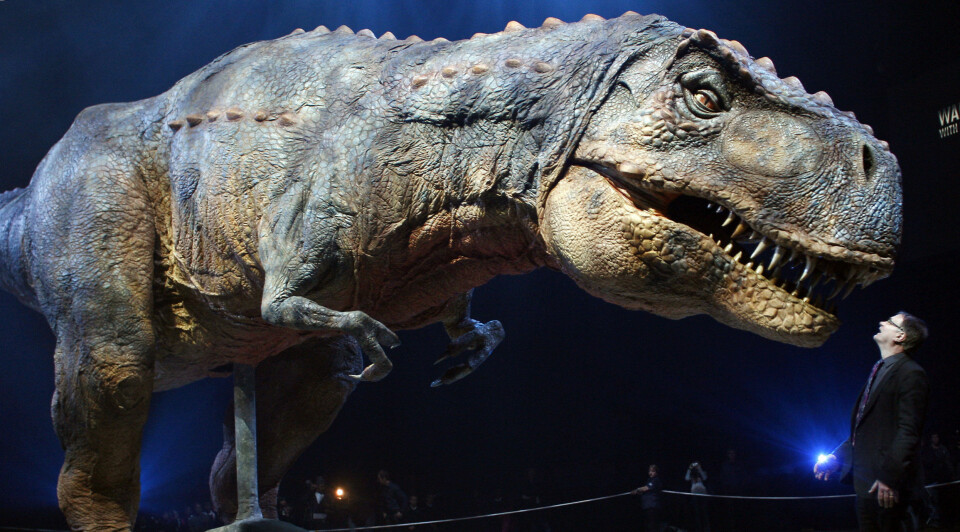 SÅ NOK ALDRI SLIK UT: Denne modellen av Tyrannosaurus rex er i tro størrelse, men paleontologer tror ikke lenger at T-rex så ut som dette. Isteden regner forskerne med at de aller fleste dinosaurer hadde fjær.
