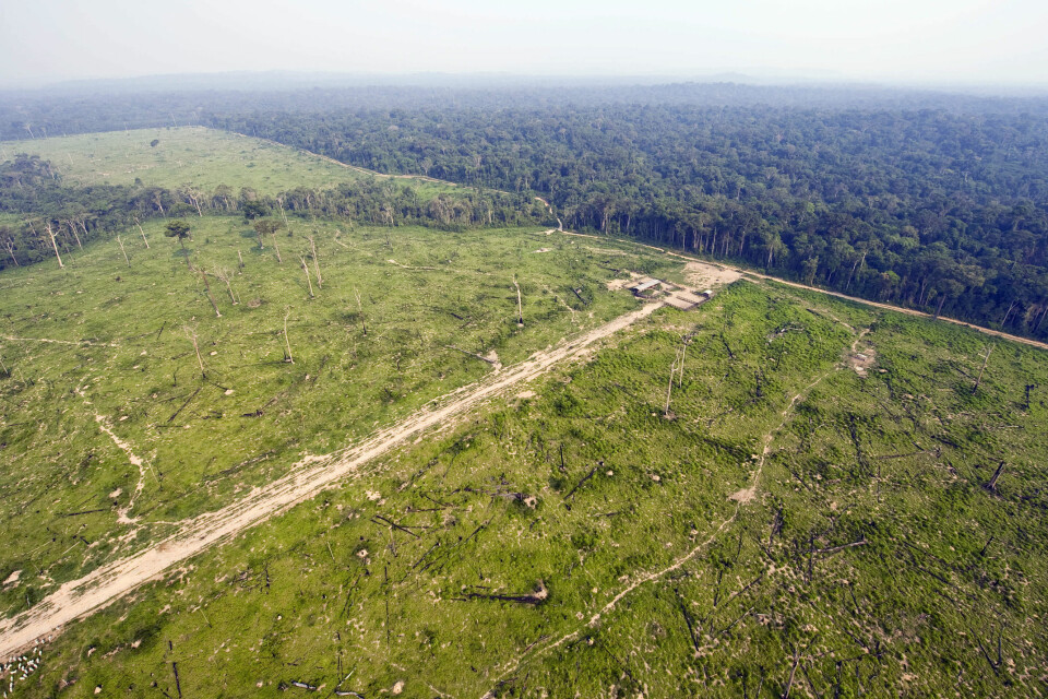 AVSKOGING I BRASIL: Regnskogen i Sør-Amerika minker faretruende raskt. Bildet er fra 2009 da 600 kvadratkilometer regnskog i Amazonas forsvant i løpet av to måneder. Avskogingen har gjort Brasil til en av verdens verstinger når det gjelder utslipp av klimagasser.