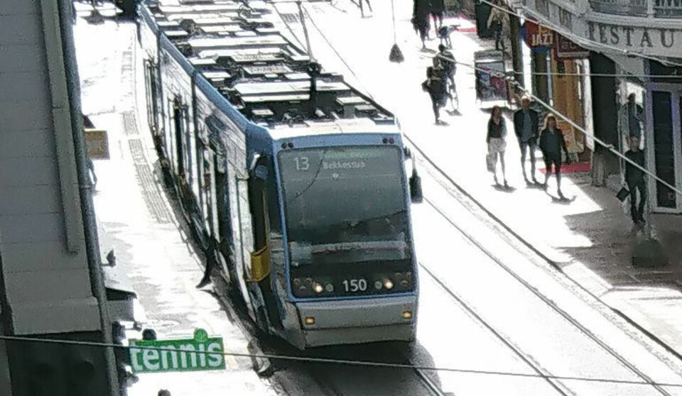 Utsnitt av bilde: I motlys viskes detaljer helt ut, samtidig som det er mye grums i bildet.