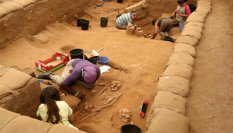 HISTORISK FUNN: Et team av arkeologer graver ut skjelett fra filistergravplassen i nasjonalparken Ashkelon i Israel.