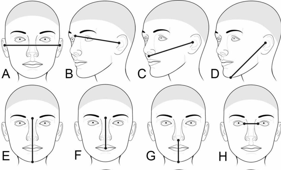 KNYTTER DNA TIL ANSIKTSTREKK: Ny studie knytter spesifikke deler av DNA-et til spesifikke ansiktstrekk. Figuren er hentet fra studien «Genome-Wide Association Study Reveals Multiple Loci Influencing Normal Human Facial Morphology».