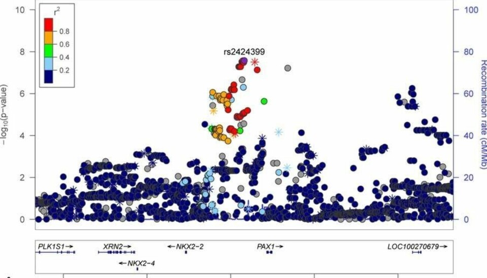 OMRÅDE FOR NESEBREDDE: Figuren er hentet fra studien «Genome-Wide Association Study Reveals Multiple Loci Influencing Normal Human Facial Morphology» og viser posisjonen på kromosom 20 som ser ut til å påvirke nesevidde.