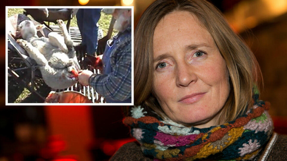 - Å skjære i et dyr uten bedøvelse er uakseptabelt
