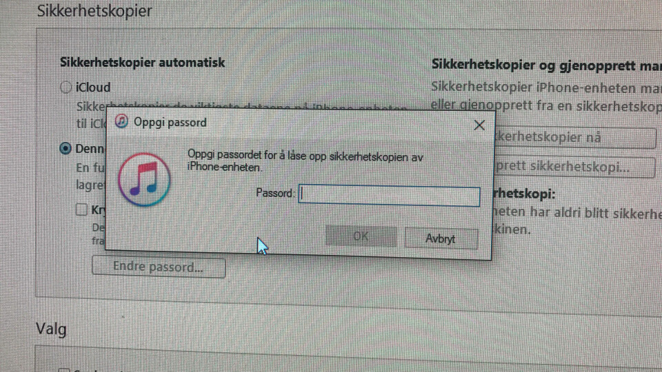 Har du glemt dette passordet, har du ikke bare mistet tilgang til din egen backup - du må slette alt innholdet på din iPhone.