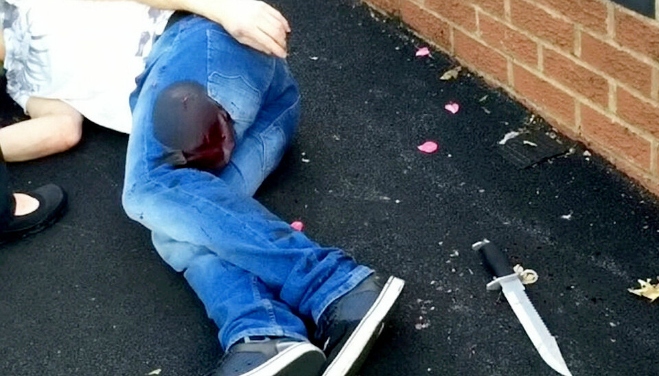 De 15 farligste dyrene for mennesker