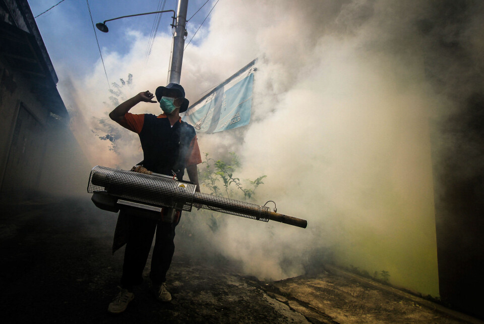 En mann i Surukarta i Indonesia forsøker å få bukt med myggen med giftig gass.