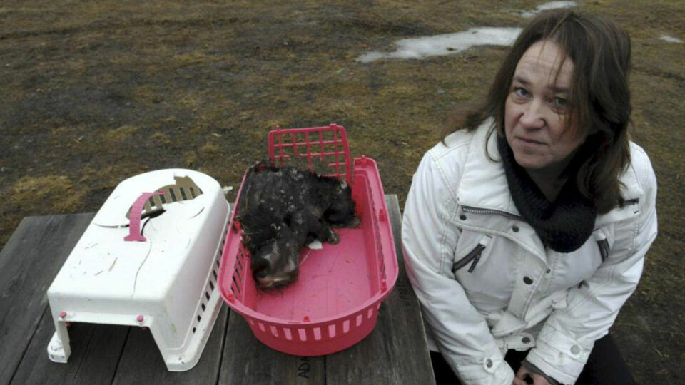 Katt funnet død innelåst i et bur i skogen