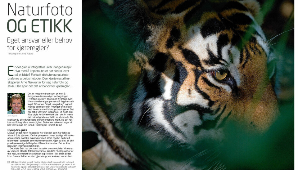 NATURFOTO OG ETIKK: Arne Nævra er brennende opptatt av etikken rundt naturfotografering. Han skrev om temaet i Natur & Foto i 2010. Klikk på bildet for å lese artikkelen (pdf).