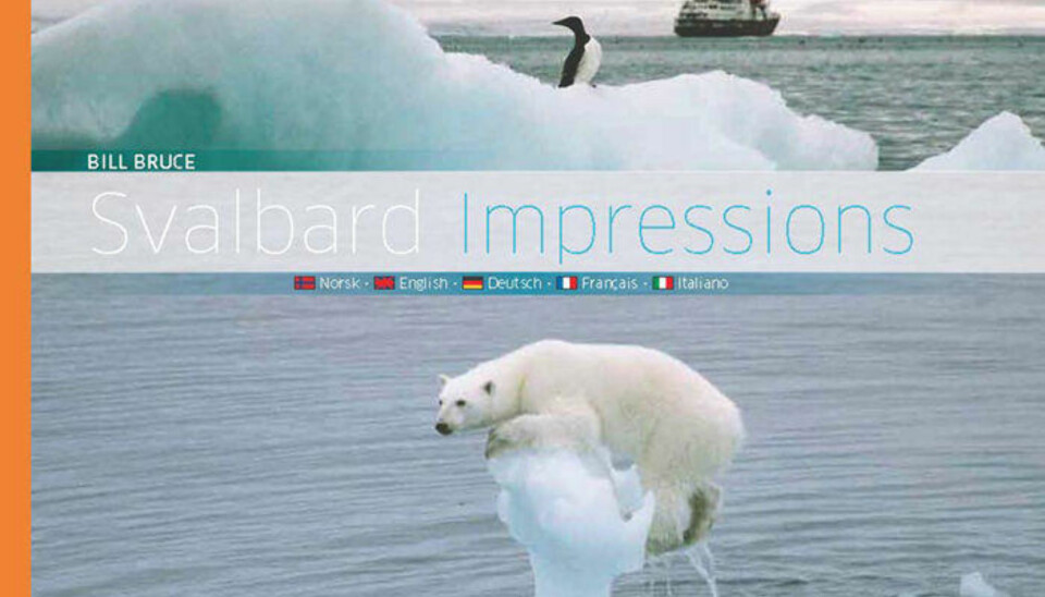 FLERE BILDER: Også fotograf Bill Bruce var om bord 'Polar Star' den lyse natten i august 2005. Hans bilde av bjørnen på issvullen er brukt på forsiden av boken 'Svalbard impressions'.