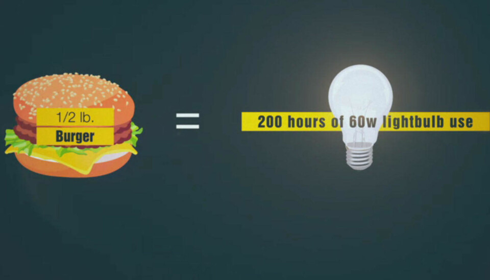 Produksjonen av en storfe-burger på litt over 200 gram kan gi like mye energi til 200 timer med en 60 watts lyspære.