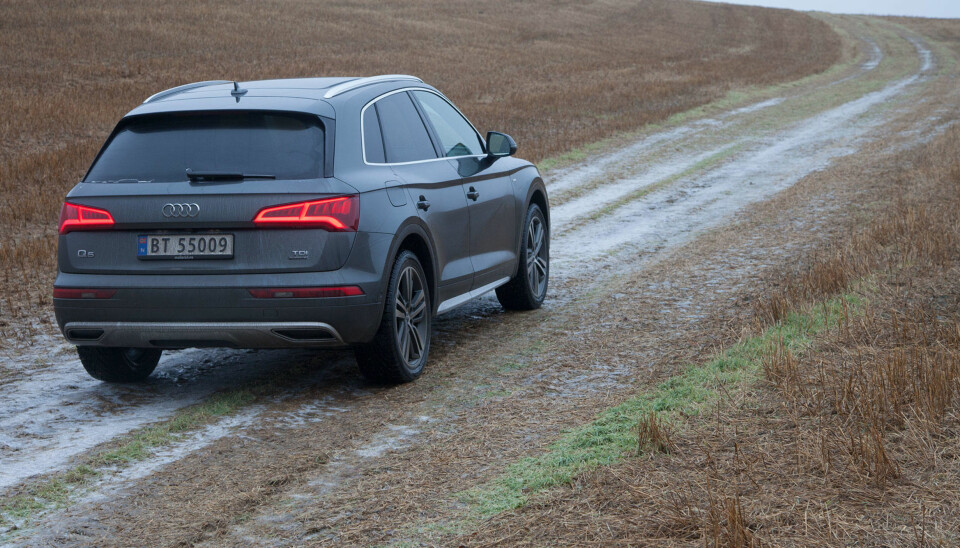 Test: Audi Q5 Quattro (2017)