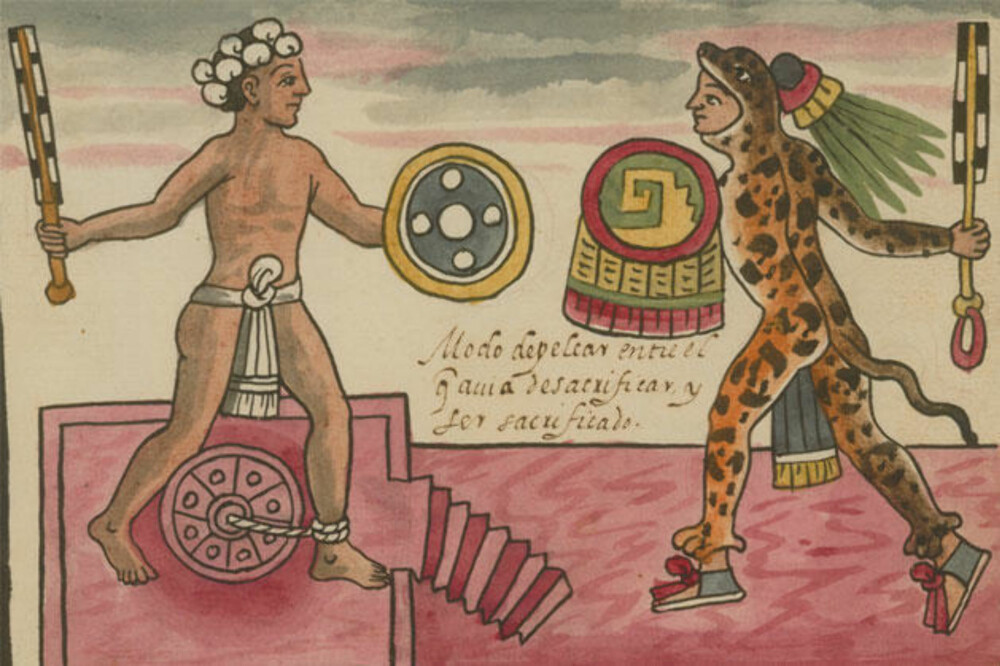 LIVSFARLIGE JAGUARKRIGERE: Aztekernes jaguarkrigere hadde drakt av jaguarpels og svingte sverdkøller dekket med vulkansk glass. De spanske erobrerne på 1500-tallet fortalte at krigerne kunne slå hodet av en hest med det knivskarpe våpenet.