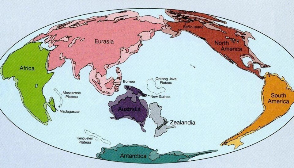 Denne karttegningen viser Zealandia i forhold til jordens øvrige kontinent.