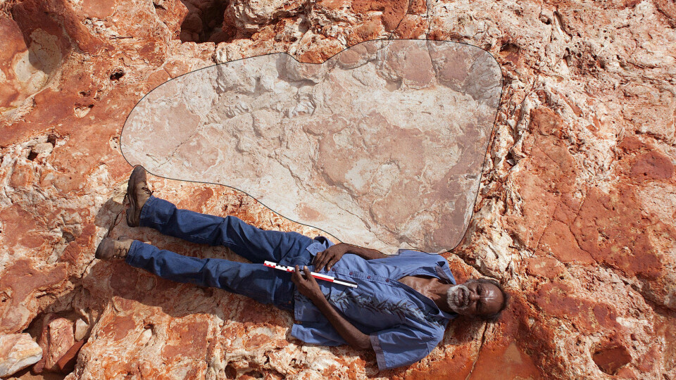 FOTAVTRYKK: Den lokale aborigini-lederen Richard Hunter ligger ved siden av et 1,75 meter langt fotavtrykk fra en sauropod.