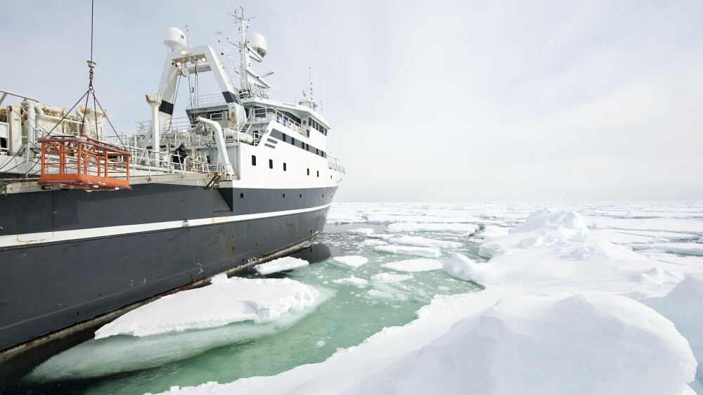 OPPSIKTSVEKKENDE FUNN: Forskere ombord på forskningsskipet F/F «Helmer Hanssen» utenfor Svalbard har gjort oppsiktsvekkende funn.