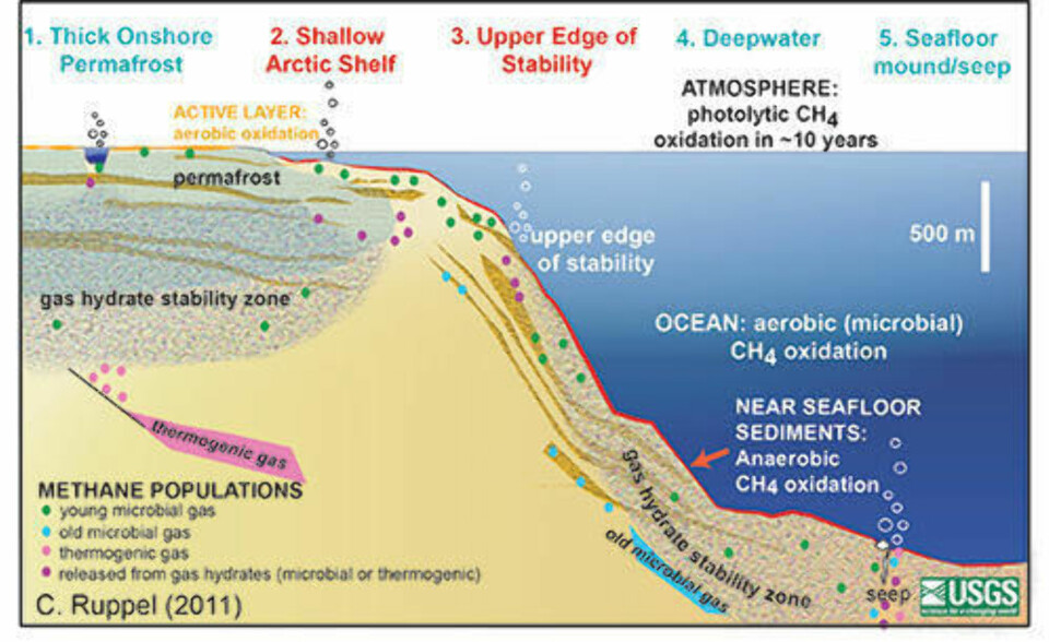 Det forskerne har sett på denne gangen er metanlekasjer fra det som på denne grafen omtales som 'Shallow Arctic Shelf' som påvirkes av smeltende permafrost.