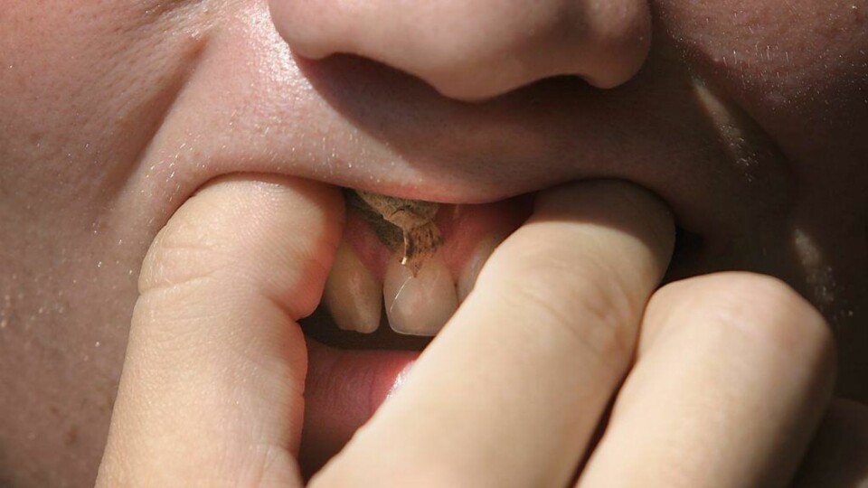 Snus øker risikoen for infertilitet