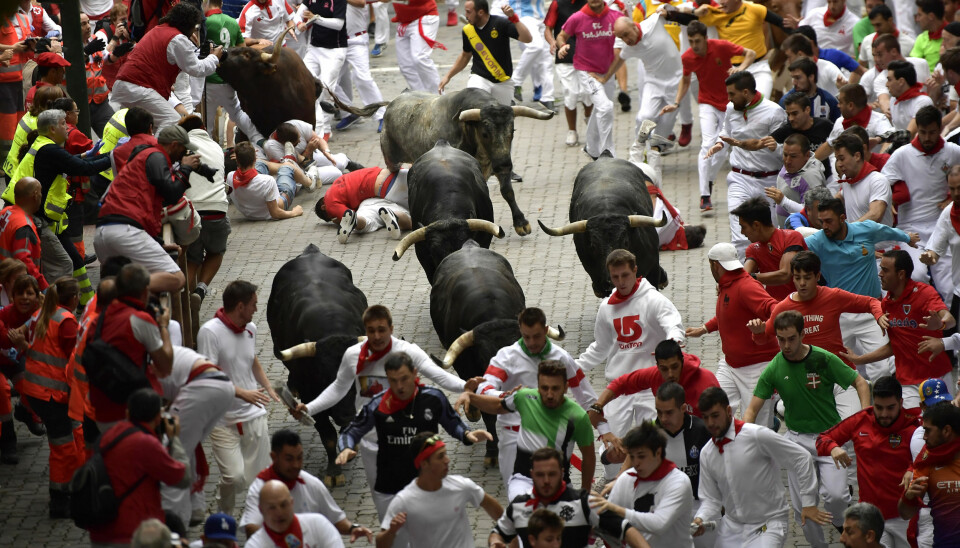 Hvert år en uke i juli kan du løpe rundt 800 meter med seks okser løpende etter deg. Okseløpet i Pamplona har blitt en verdenskjent festival.