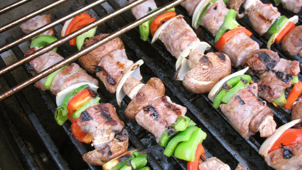 KYLLINGSPYD: Grillspyd med ulike grønnsaker og kjøttbiter er noe som både barn og voksne kan like.