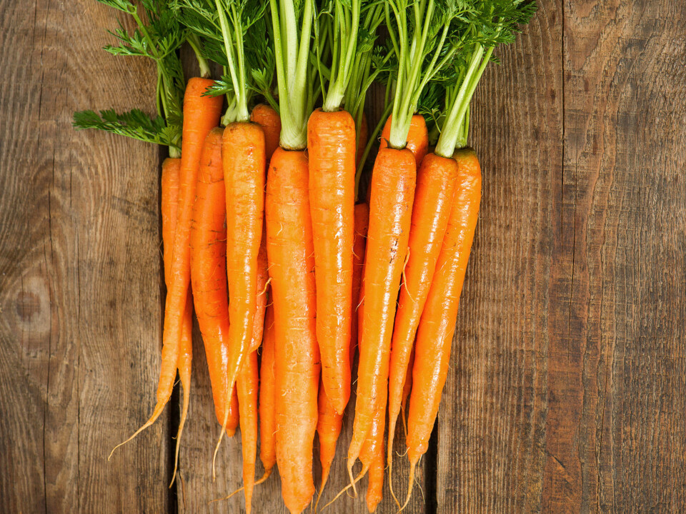 GULRØTTER slik vi som oftest ser den i dag.