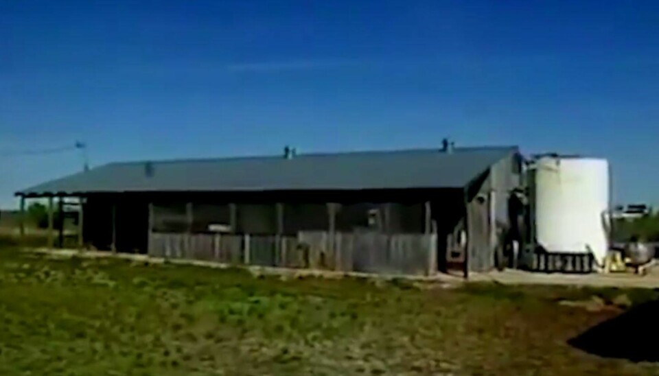 FØRSTE HJEM: Det var ikke mye som minnet om verdensklasse da destilleringen av vodkaen ble startet i denne bygningen på 1990-tallet. Nå har selskapet flyttet til mye større produksjonslokaler. Man anslår at de vil selge rundt 58 millioner flasker med vodka i løpet av 2017.