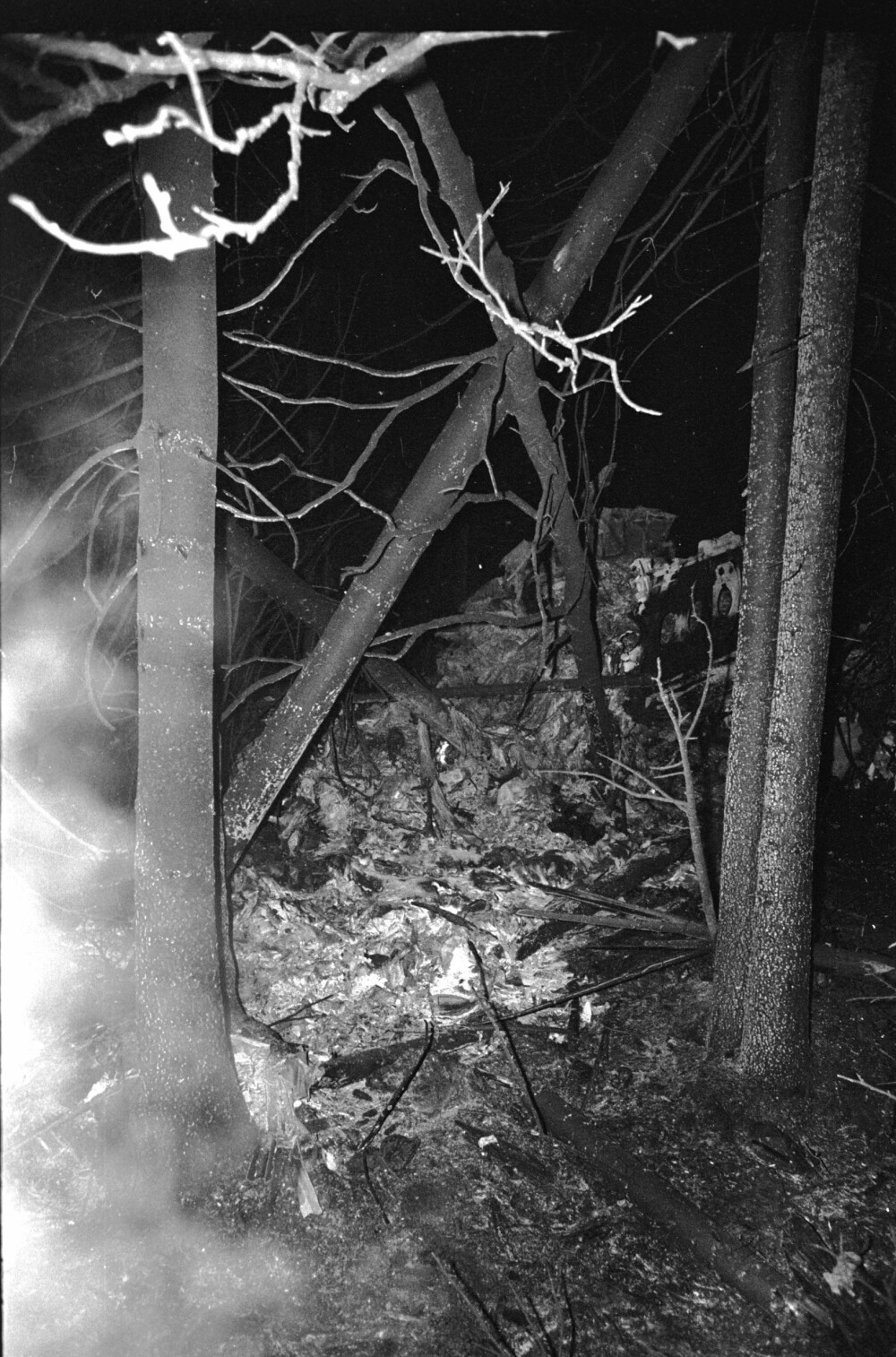 UTBRENT: De fleste passasjerene var sjanseløse da Braathen´s-flyet «Sverre Sigurddson» havarerte i skogen i Asker lille julaften 1972. Av de 45 ombord overlevde bare fem.