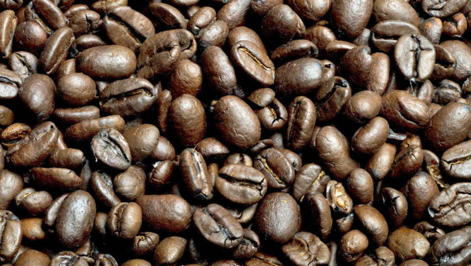 KAFFE er en god kilde til antioksidanter.