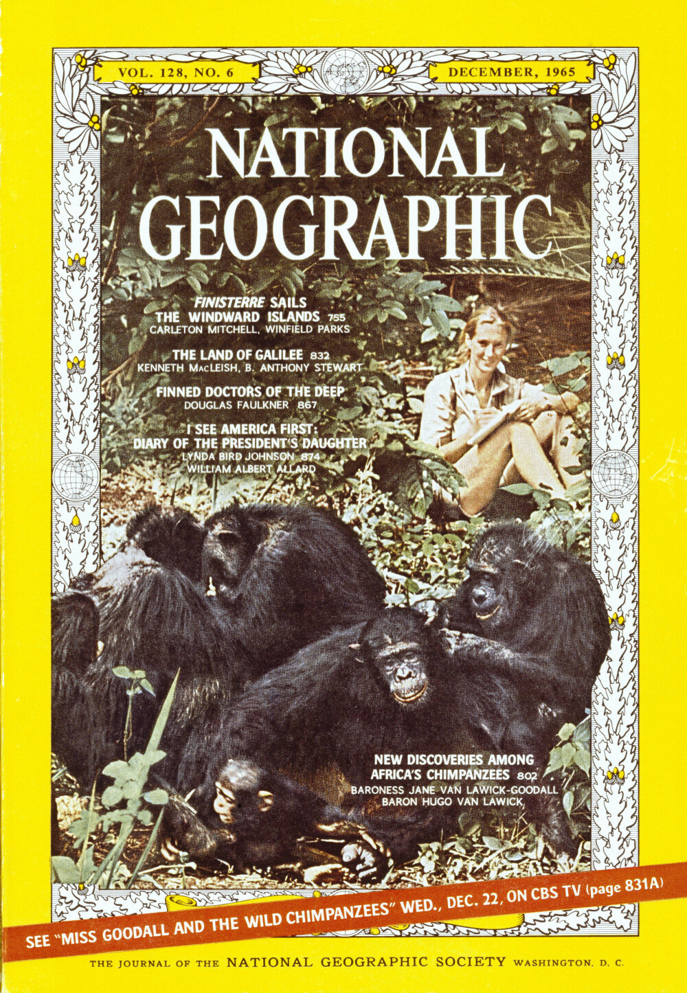 GODT BRUKT: Goodall og hennes arbeid har blitt flittig brukt og fortalt av National Geographic opp gjennom årene. Her fra en forside av magasinet i 1965.