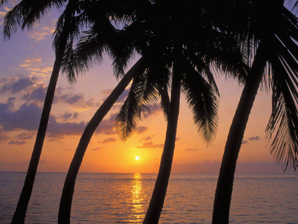 Nyt solnedgangen med fiffen i Belize.
