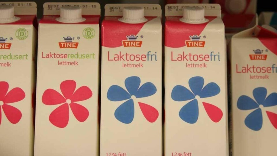 Vet du forskjellen på melkeallergi og laktoseintoleranse? Det hjelper ikke å kjøpe denne melken dersom du ikke tåler melkeproteinet.