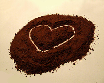 HJEMMELAGET KAKAO MED KAKAO ELLER MØRK SJOKOLADE: Jo mørkere sjokolade, jo høyere innhold av kakao.
