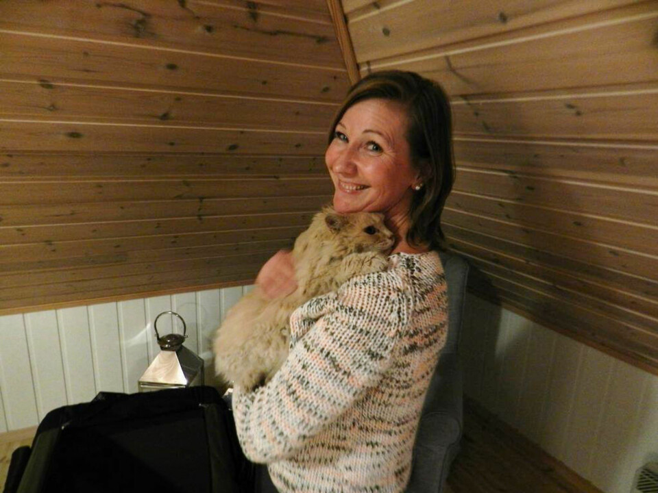 For 10 år siden forsvant «Petter VI», og etter et par års tid hadde familien gitt opp håpet om å finne ham Men plutselig dukket han opp, til eier Renate Storvoll Unnebergs store glede!