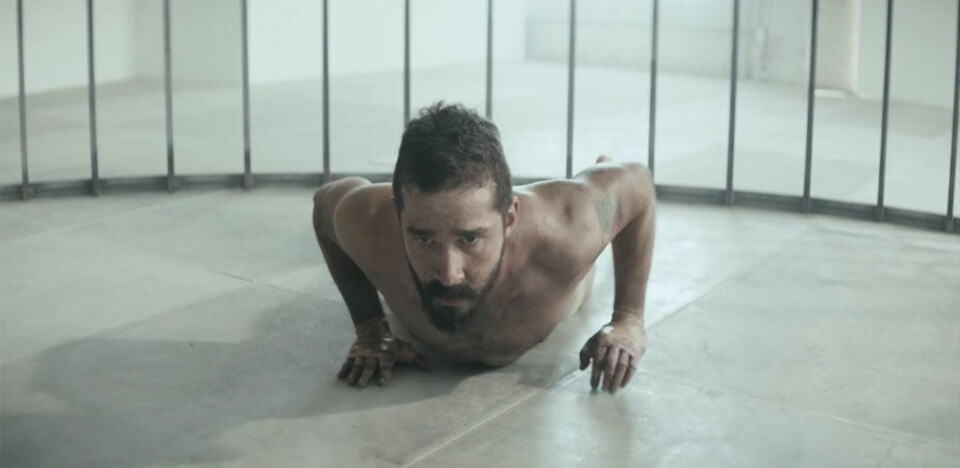 Se skjorteløs Shia LaBeouf (28) slåss med Maddie (12) i et bur