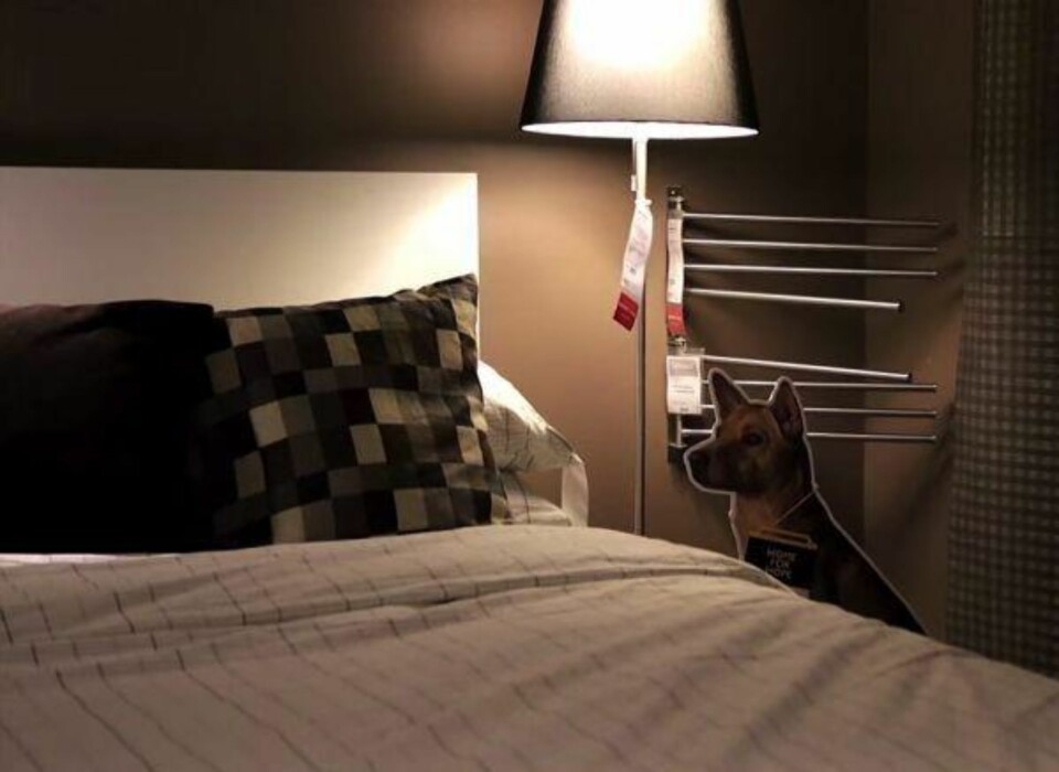 IKEA vil lokke til seg dyreelskere