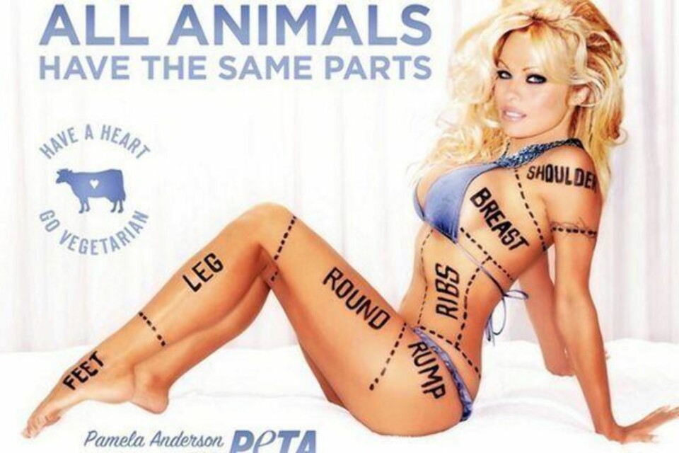 FRA EN TIDLIGERE KAMPANJE: Pamela Anderson for PETA.