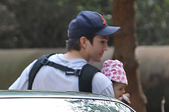 MED BARN: Ashton Kutcher blir ofte observert med bæresele og lille Wyatt på tur. Foto: Bulls