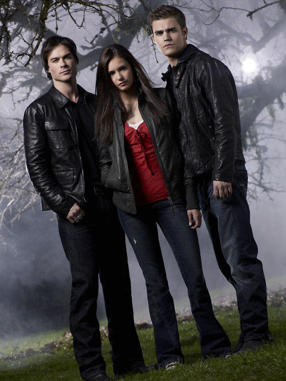 Nina Dobrev har en av hovedrollene i serien, sammen med Ian Sommerhalder og Paul Wesley. Serien er nå inne i sin sjette sesong i USA.