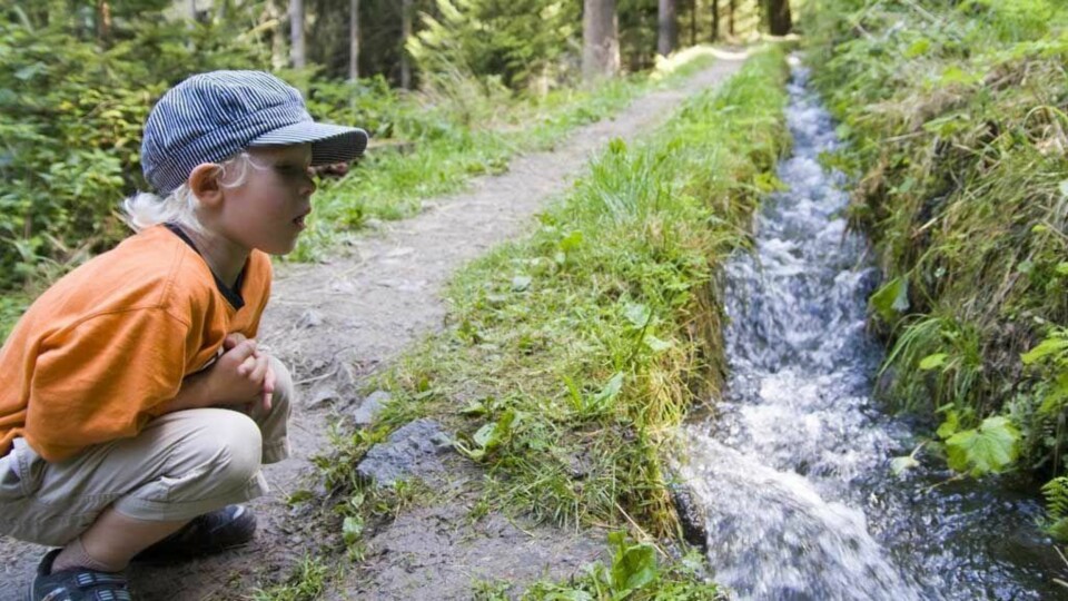 UT PÅ TUR: Sett ord på det dere ser på veien. Forklar og bygg gjerne historier rundt det dere ser.